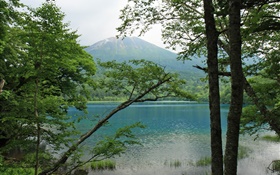 美丽的自然风光，湖泊，树木，山，北海道，日本 高清壁纸