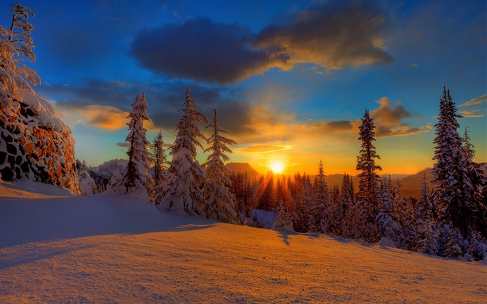 美丽的夕阳，冬天，雪，树木，黄昏 壁纸 图片