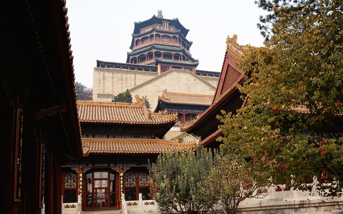 北京故宫，中国 壁纸 图片