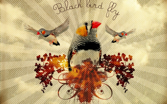 黑鸟飞，创意艺术设计 壁纸 图片
