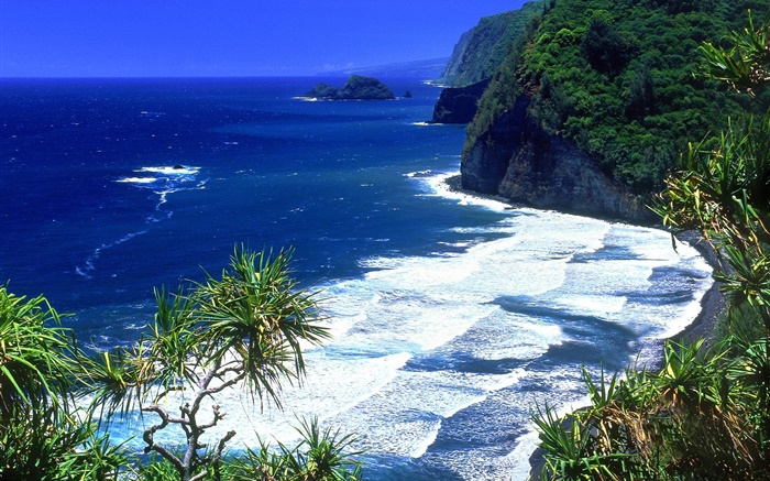 蓝色的大海，海岸，山，夏威夷，美国 壁纸 图片