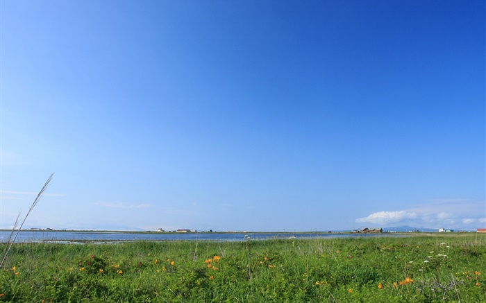 蓝天，草，海岸，日本北海道 壁纸 图片