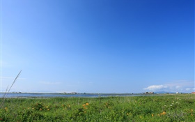 蓝天，草，海岸，日本北海道 高清壁纸