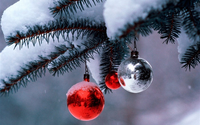 圣诞球，树，树枝，厚厚的积雪 壁纸 图片