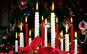 圣诞节，蜡烛，灯光 高清壁纸