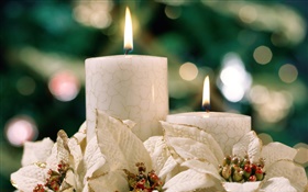 圣诞主题，白色的蜡烛 高清壁纸