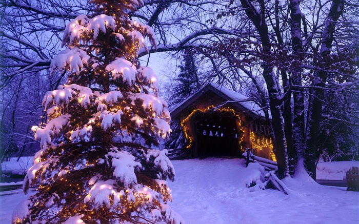 圣诞树，雪，房屋，树木 壁纸 图片
