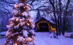圣诞树，雪，房屋，树木 高清壁纸