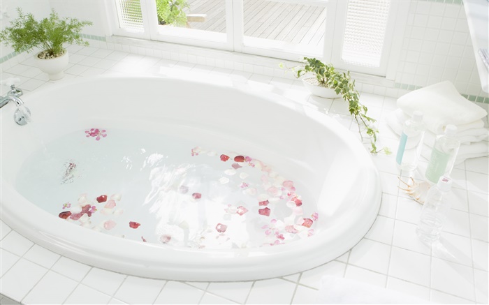 浴缸特写，水，花瓣 壁纸 图片