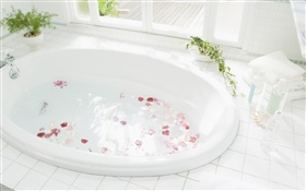 浴缸特写，水，花瓣 高清壁纸