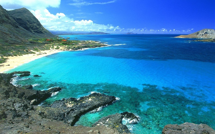 海岸，碧海蓝天，夏威夷，美国 壁纸 图片