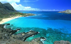 海岸，碧海蓝天，夏威夷，美国 高清壁纸