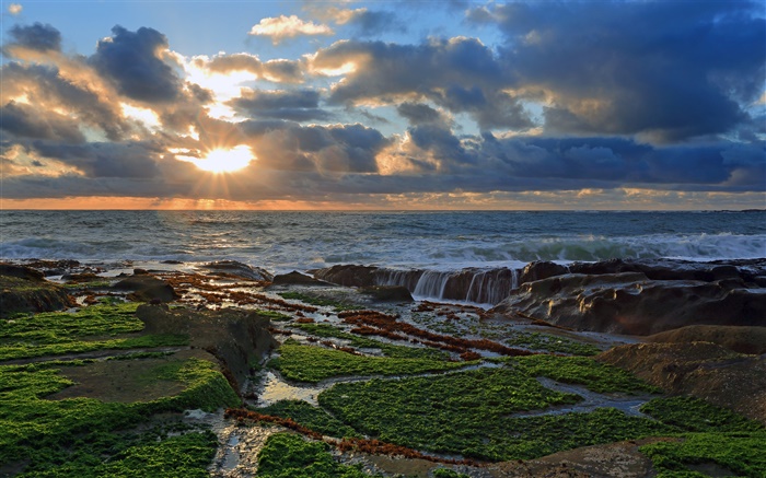 海岸，石头，日落，云海，太平洋 壁纸 图片