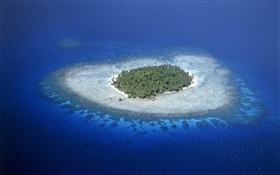 珊瑚礁，密克罗尼西亚，海，岛 高清壁纸