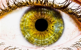 创意图片，黄色的眼睛，瞳孔