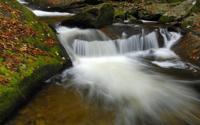 小河，溪流，岩石，秋天 壁纸 图片