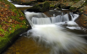 小河，溪流，岩石，秋天