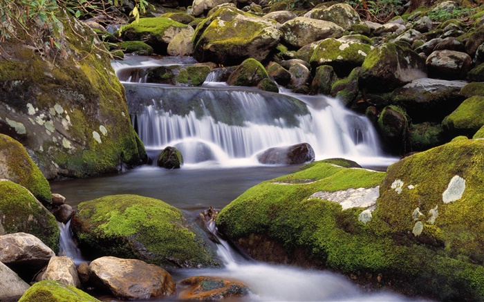 小溪，瀑布，石头，青苔，自然风光 壁纸 图片