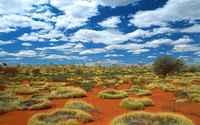 沙漠，草地，云，澳大利亚 壁纸 图片