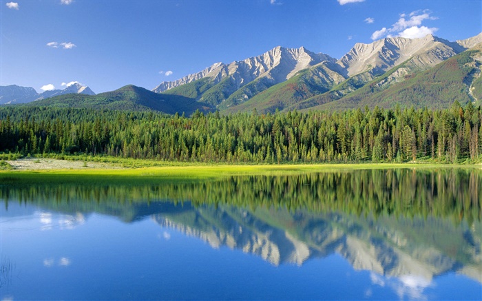狗湖，山，林，库特尼国家公园，加拿大不列颠哥伦比亚省 壁纸 图片