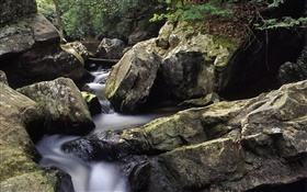 狗屠宰溪，瀑布坎伯兰州立公园，肯塔基州，美国 高清壁纸