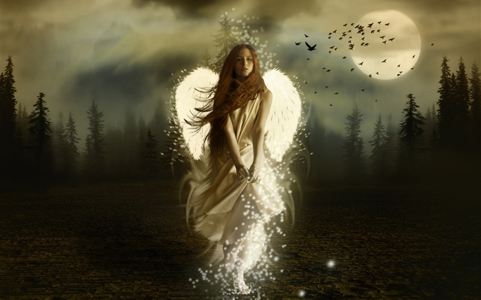 幻想天使女孩，白色的翅膀，夜，月亮，鸟 壁纸 图片