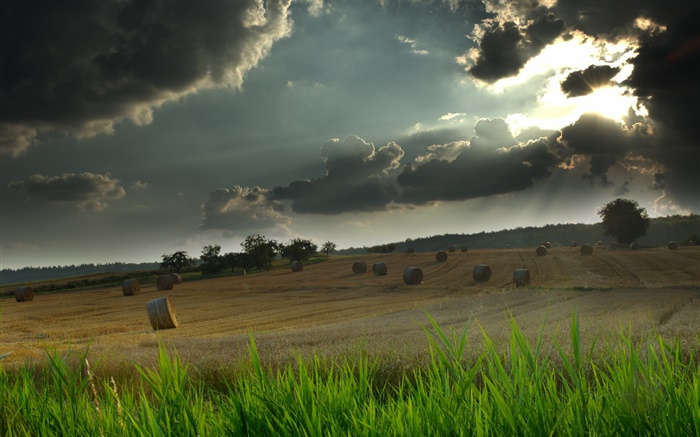 田野，干草堆，绿草，多云的天空，太阳光线 壁纸 图片