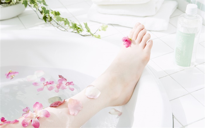 女孩的腿，花瓣，浴缸，SPA主题 壁纸 图片