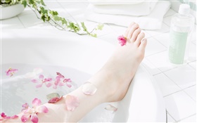 女孩的腿，花瓣，浴缸，SPA主题 高清壁纸