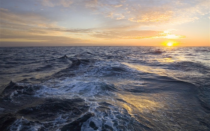 金色的日出，云海，海，大西洋，福克兰群岛 壁纸 图片
