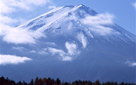 大山，富士山，云，日本