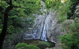 大自然，瀑布，悬崖，湖泊，树木，日本北海道 高清壁纸