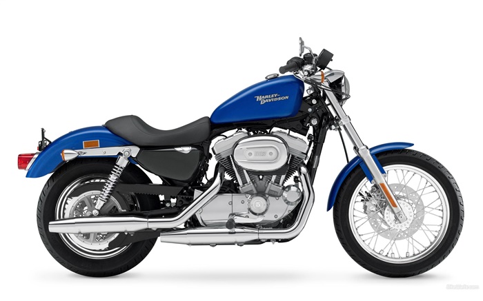 哈雷戴维森摩托车883，蓝色和黑色 壁纸 图片
