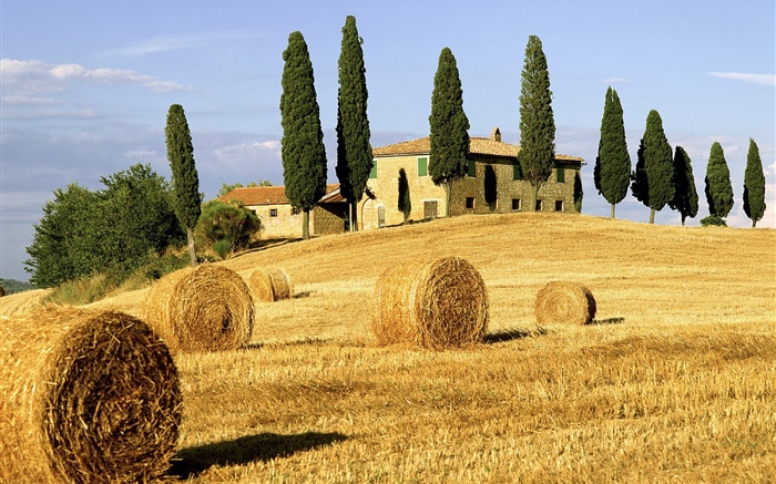 干草堆，田野，房子，树，意大利 壁纸 图片
