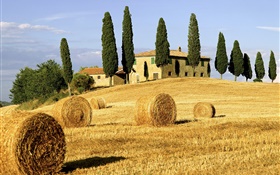 干草堆，田野，房子，树，意大利