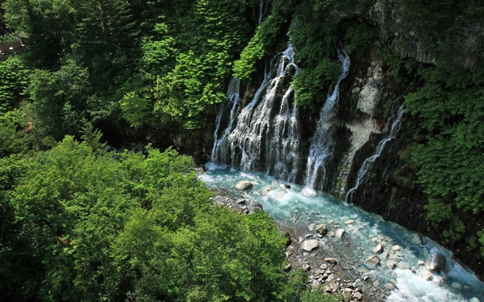 日本北海道，瀑布，小溪，悬崖，植物 壁纸 图片