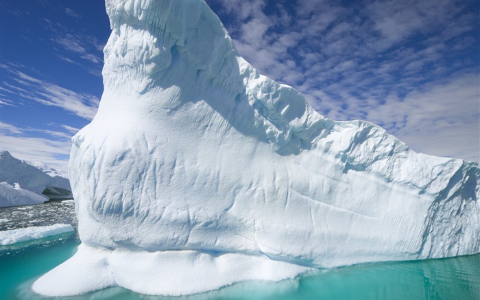 冰山，海 壁纸 图片