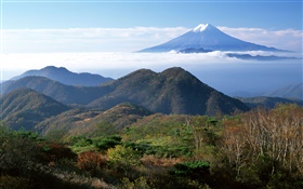 日本自然景观，富士山，山，云 高清壁纸