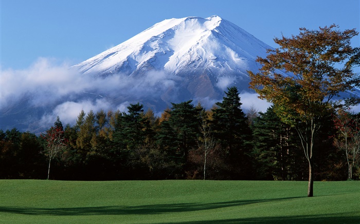 日本富士山，雪，树木，草地，雾 壁纸 图片