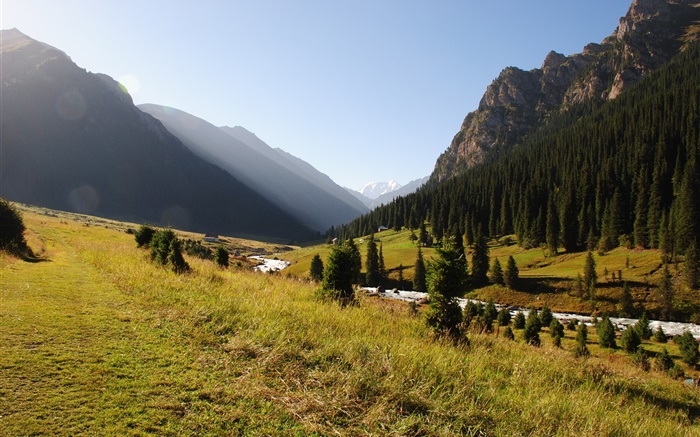 吉尔吉斯斯坦，森林，树木，山，上午，草，河 壁纸 图片
