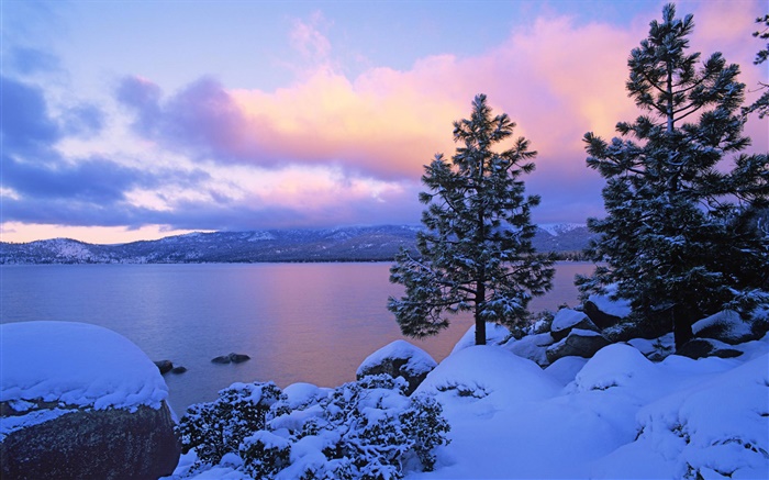 太浩湖，冬季，雪，树木，黄昏，美国 壁纸 图片