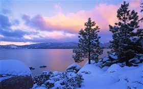 太浩湖，冬季，雪，树木，黄昏，美国