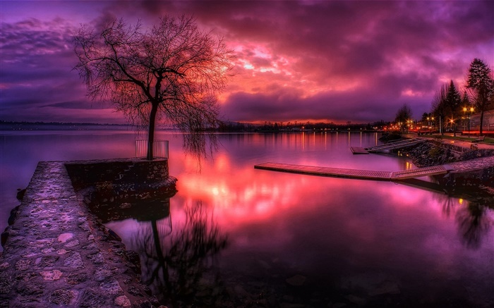 湖，红色的天空，夕阳，云，树，灯 壁纸 图片