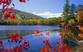 湖泊，树木，房子，秋
