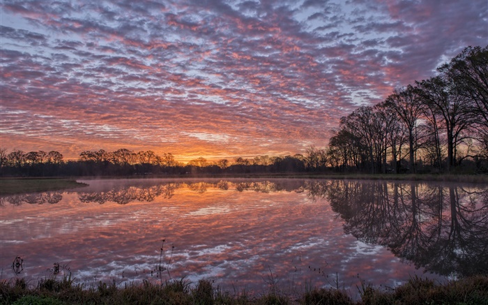 美国路易斯安那州，河流，岸边，水中的倒影，树木，云海，晚霞 壁纸 图片
