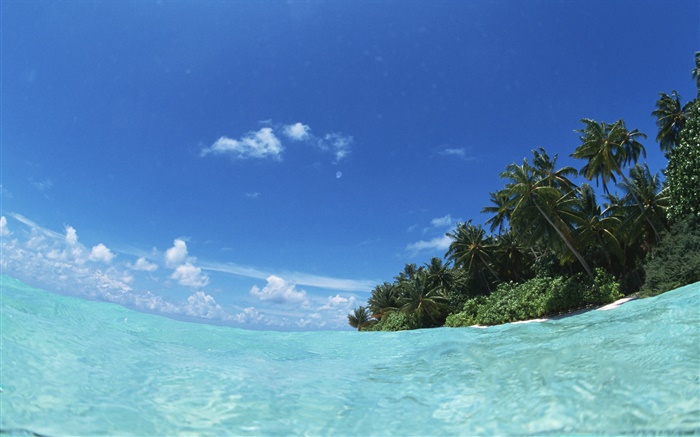 马尔代夫，蓝色的海，水，岛 壁纸 图片