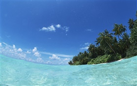 马尔代夫，蓝色的海，水，岛 高清壁纸