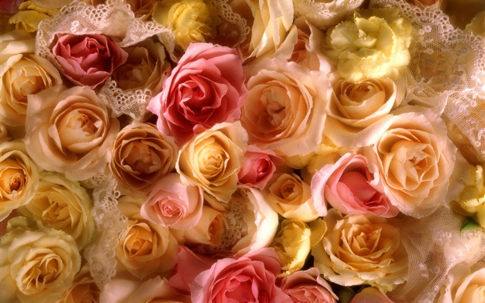 许多玫瑰鲜花，黄色和粉红色 壁纸 图片