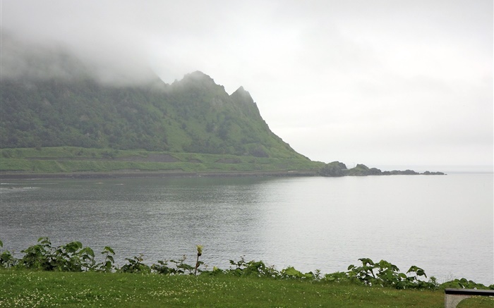 早晨，雾，山，海，海岸，草，日本北海道 壁纸 图片