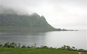 早晨，雾，山，海，海岸，草，日本北海道 高清壁纸
